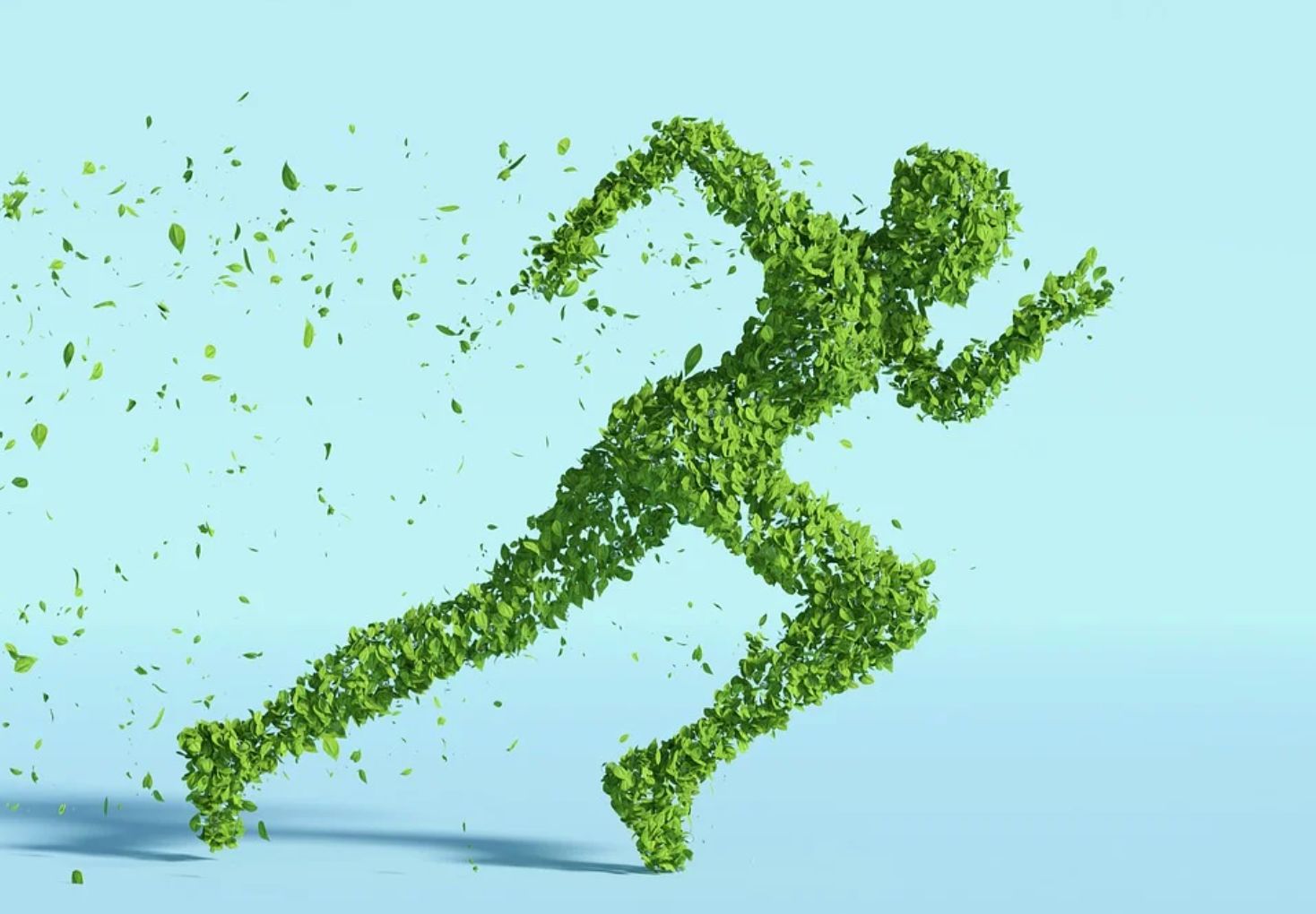 Sustainability
